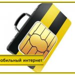Beeline tariffs Veliky Novgorod Internet