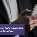 Blocking SMS messages on Beeline - how to disable information and advertising alerts on your phone?
