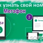 How to find out your Megafon number