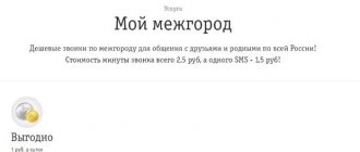 Beeline My Mezhgorod option (screenshot from the operator’s official website)