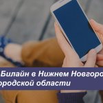 Description of current Beeline tariffs in Nizhny Novgorod and the Nizhny Novgorod region for smartphones, tablets and modems