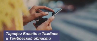 Description of new Beeline tariffs in Tambov and the Tambov region for phones, tablets and laptops