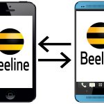 Transfer to Beeline