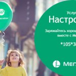 MegaFon Mood service. How to connect and disconnect 