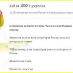 all for 1800 roaming on Beeline for Omsk