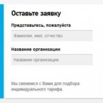application on the Rostelecom website